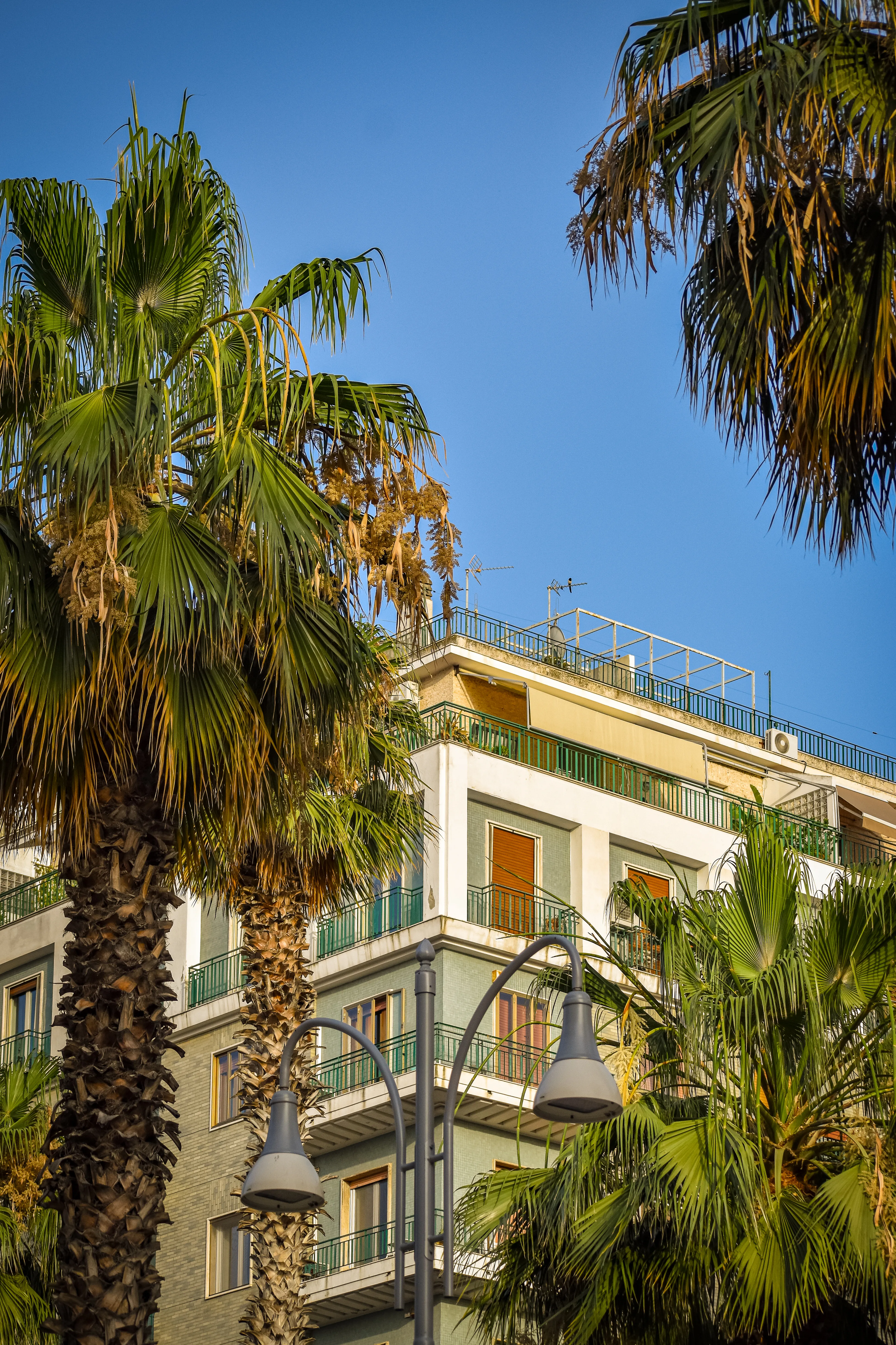 Bari